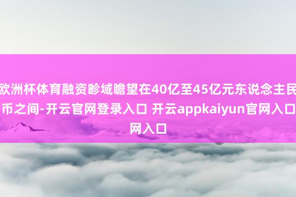 欧洲杯体育融资畛域瞻望在40亿至45亿元东说念主民币之间-开
