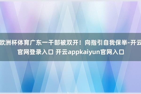 欧洲杯体育广东一干部被双开！向指引自我保举-开云官网登录入口 开云appkaiyun官网入口
