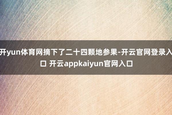开yun体育网摘下了二十四颗地参果-开云官网登录入口 开云appkaiyun官网入口