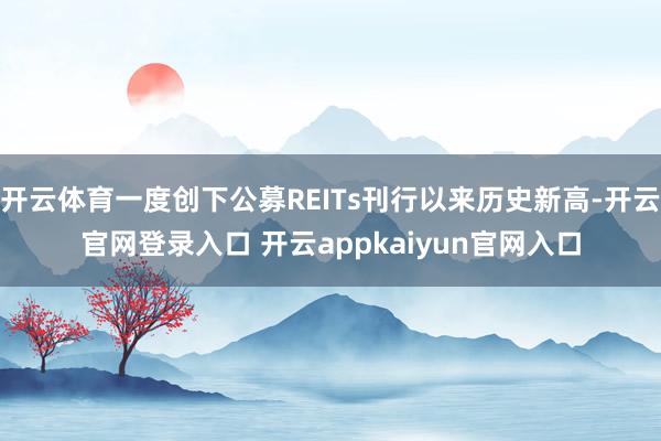开云体育一度创下公募REITs刊行以来历史新高-开云官网登录入口 开云appkaiyun官网入口