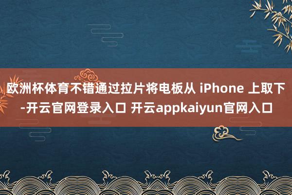 欧洲杯体育不错通过拉片将电板从 iPhone 上取下-开云官网登录入口 开云appkaiyun官网入口