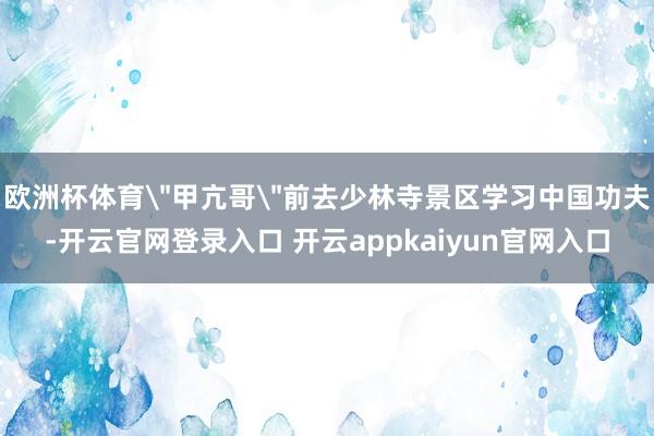 欧洲杯体育